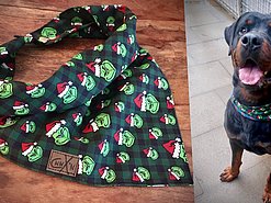 Collage aus Hunde-Halstuch mit Grinch-Motiv und einem Rottweiler, der das Tuch trägt