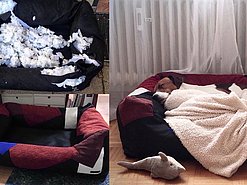 Ein großes, weich gepolstertes Hundebett in Schwarz und Dunkelrot